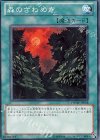 PHSW-JP058 N 森のざわめき 