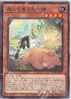  POTE-JP017 R 森と目覚の春化精 