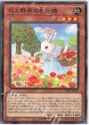  POTE-JP018 N 花と野原の春化精 