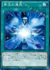  PP18-JP012 N 帝王の凍気 