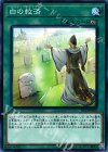  PP20-JP007 N 白の救済 