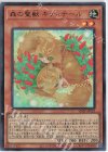  VJMP-JP222 UR 森の聖獣 キティテール 