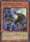  VJMP-JP258 UR 分裂するプラナリア 