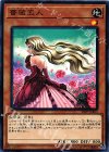  18TP-JP405 N 薔薇恋人 