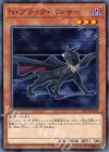 19TP-JP103 N N・ブラック・パンサー