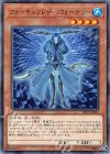  19TP-JP205 N フォーチュンレディ・ウォーテリー 