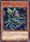  19TP-JP309 N 捕食植物オフリス・スコーピオ 