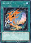 19TP-JP313 N 融合回収 