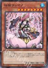  20TP-JP205 N 桜姫タレイア 