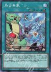 20TP-JP315 N 烏合無象 