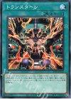21TP-JP312 N トランスターン