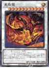 21TP-JP407 N 星態龍
