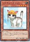  22TP-JP103 N レスキューキャット 