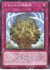  22TP-JP315 N ナチュルの神星樹 