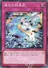  23TP-JP215 N 進化の特異点 