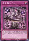 23TP-JP415 N 常世離レ