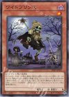  24TP-JP103 N ワイトプリンス 