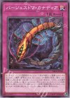  24EP-JP116 N バージェストマ・カナディア 