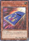  24EP-JP203 P-N カードカー・D 
