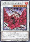  24EP-JP206 N ブラック・ローズ・ドラゴン 