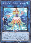  24TP-JP306 P-N 海晶乙女コーラルアネモネ 