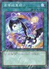  24TP-JP509 P-N 高等紋章術 