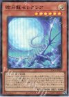 25WP-JP101 P-UR 眩月龍セレグレア 