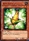  PR01-JP008 N モロコシーナ 