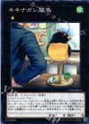  17PR-JP010 P-N キキナガシ風鳥 