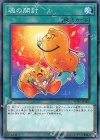 YCPC-JP002 N 魂の開封