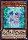  JF19-JP001 SR 相愛のアンブレカム 