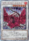  20CP-JPS05 20thSE ブラック・ローズ・ドラゴン 