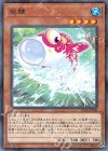  19PR-JP008 P-N 飛鯉 
