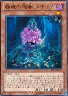  PRIO-JP019 N 森羅の隠蜜 スナッフ 