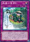  PRIO-JP073 N 森羅の滝滑り 