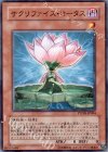  PTDN-JP004 N サクリファイス・ロータス 