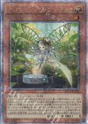  QCCU-JP162 QCSE アロマセラフィ-アンゼリカ 