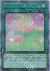  QCCU-JP179 QCSE メルフィーのかくれんぼ 