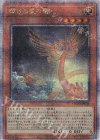 QCDB-JP003 QCSE 輝ける星の竜
