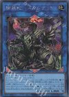 QCDB-JP044 SE 鎖龍蛇-スカルデット