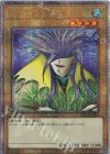 QCLP-JP002 QCSE アクア・マドール