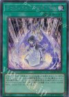QCTB-JP016 SE ドラゴンメイドのお召し替え