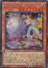 QCTB-JP025 SE No-P.U.N.K.フォクシー・チューン