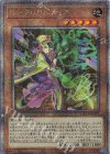 QCTB-JP027 QCSE No-P.U.N.K.ディア・ノート