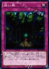  RATE-JP068 N 迷い風 