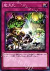  RATE-JP080 NR 肥大化 