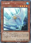  RC03-JP011 CR ホワイト・スティングレイ 