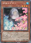  RC03-JP018 CR 儚無みずき(海外版イラスト) 