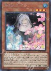  RC03-JP018 SE 儚無みずき(海外版イラスト) 