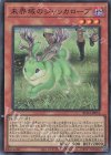  RC04-JP014 SR 未界域のジャッカロープ 